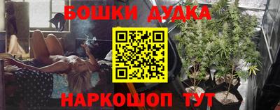 стаф Лесосибирск