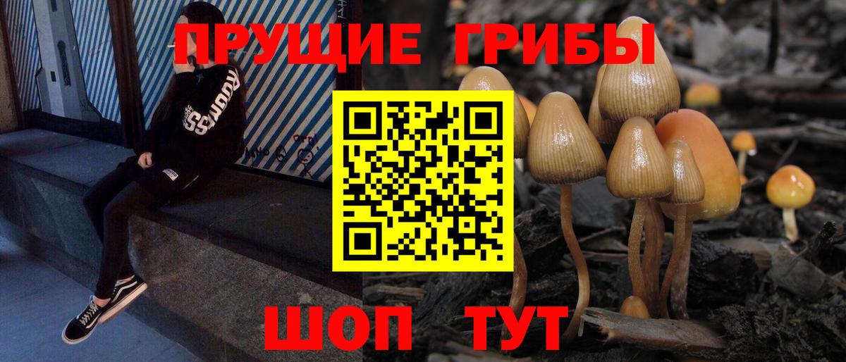 Галлюциногенные грибы Psilocybe  Вход с VPN  купить закладку  Галлюциногенные грибы ЛСД  Ивантеевка 