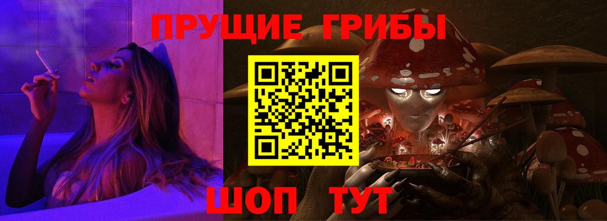 Псилоцибиновые грибы Psilocybe Ивантеевка